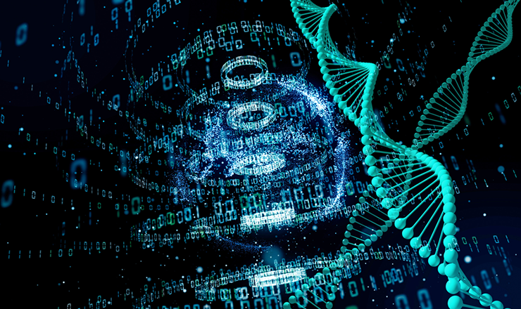 不老長寿（フロー）事業